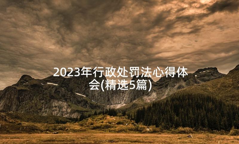 2023年行政处罚法心得体会(精选5篇)