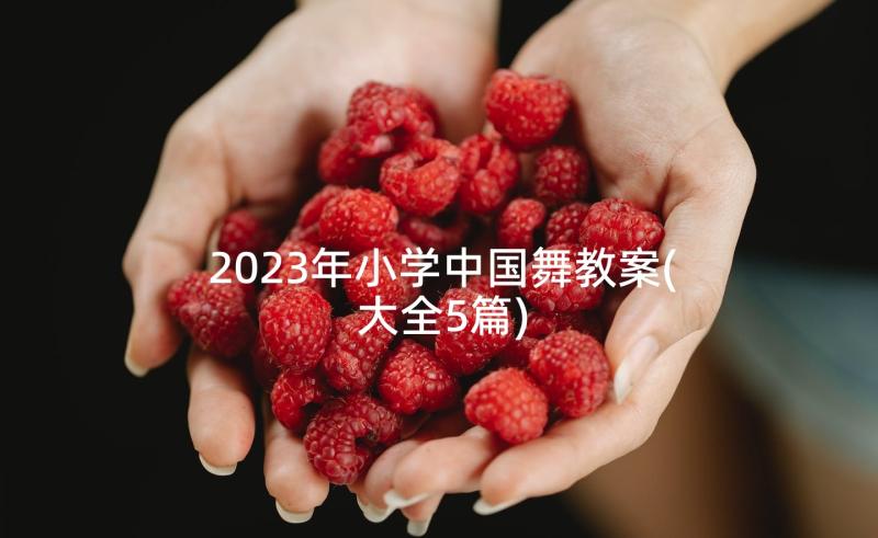 2023年小学中国舞教案(大全5篇)