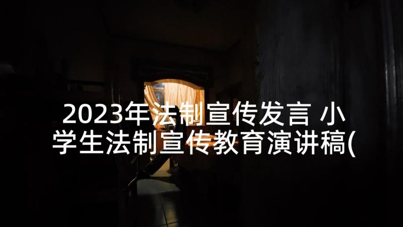 2023年法制宣传发言 小学生法制宣传教育演讲稿(实用5篇)