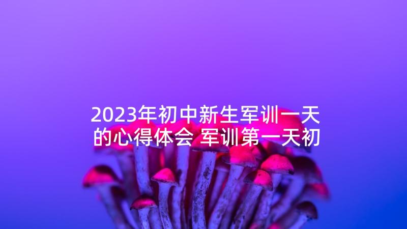 2023年初中新生军训一天的心得体会 军训第一天初中心得体会(优秀6篇)