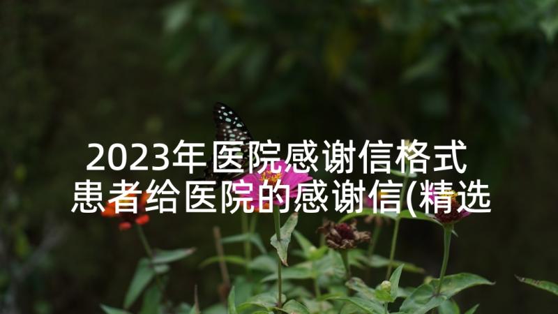 2023年医院感谢信格式 患者给医院的感谢信(精选5篇)