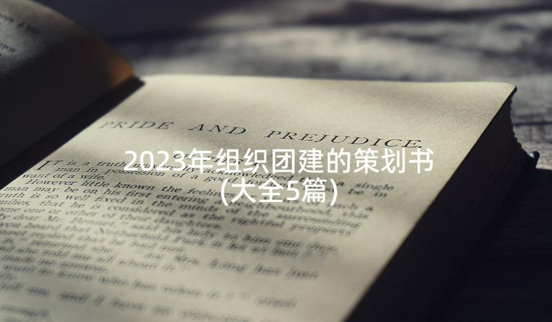 2023年组织团建的策划书(大全5篇)