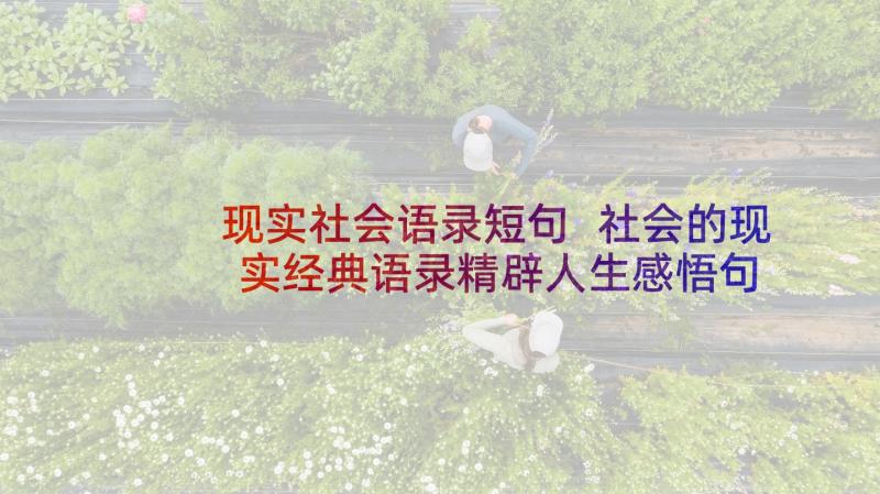 现实社会语录短句 社会的现实经典语录精辟人生感悟句子(大全5篇)