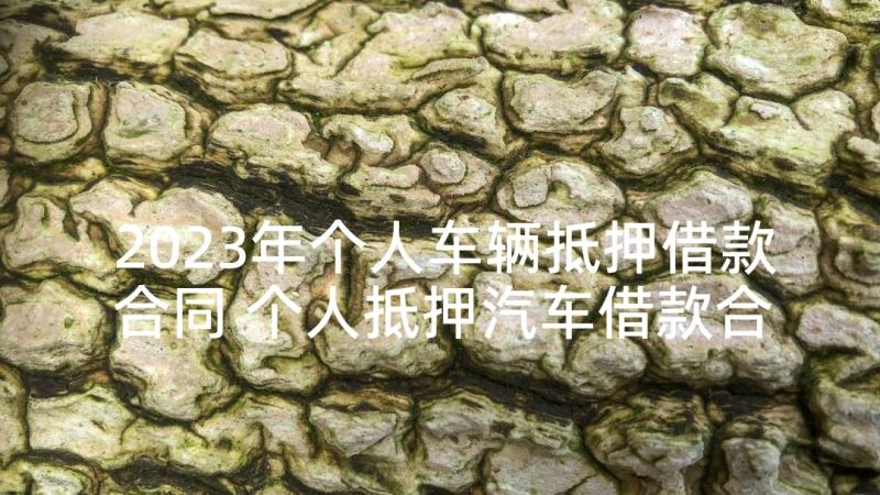 2023年个人车辆抵押借款合同 个人抵押汽车借款合同(大全5篇)