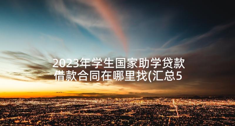 2023年学生国家助学贷款借款合同在哪里找(汇总5篇)