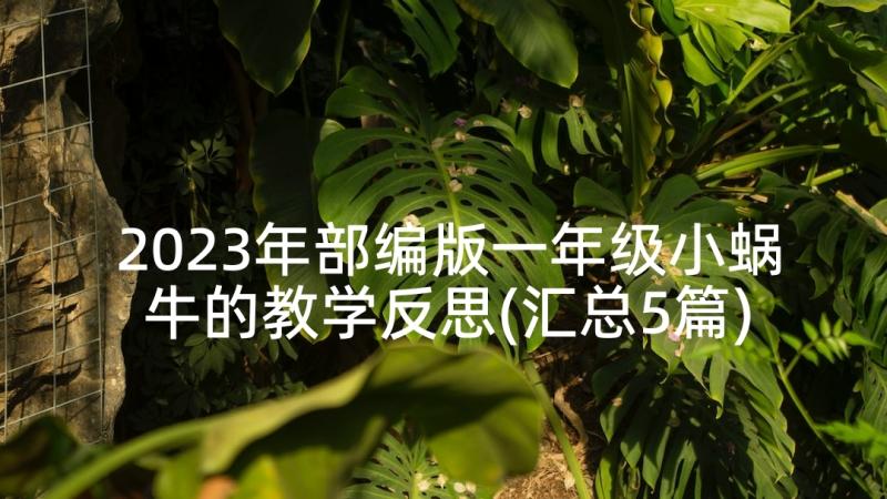 2023年部编版一年级小蜗牛的教学反思(汇总5篇)