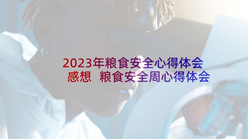 2023年粮食安全心得体会感想 粮食安全周心得体会个人(实用5篇)