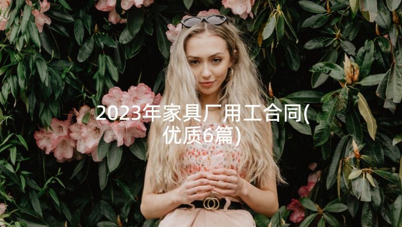 2023年家具厂用工合同(优质6篇)