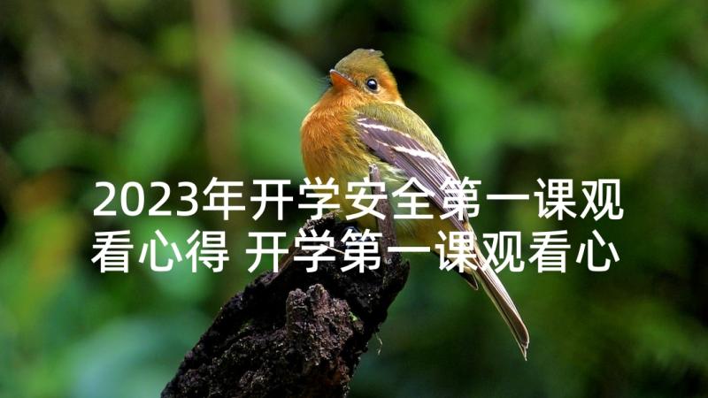 2023年开学安全第一课观看心得 开学第一课观看心得体会(通用5篇)