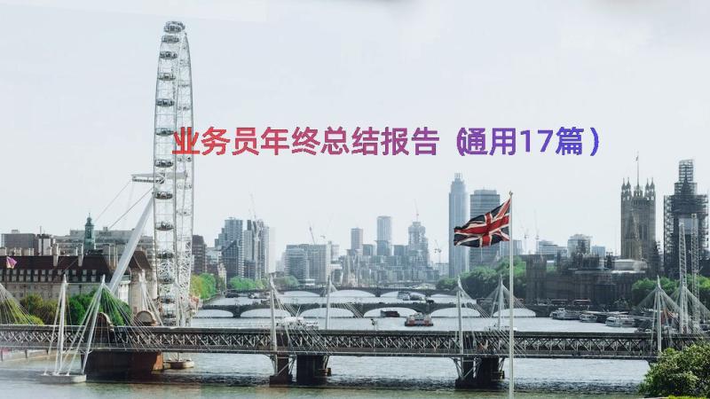 业务员年终总结报告（通用17篇）