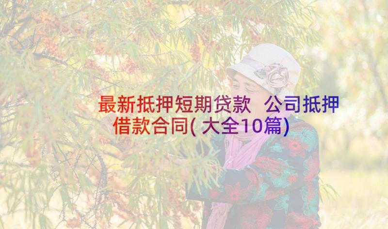 最新抵押短期贷款 公司抵押借款合同(大全10篇)