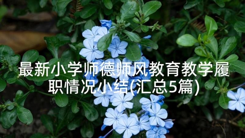 最新小学师德师风教育教学履职情况小结(汇总5篇)