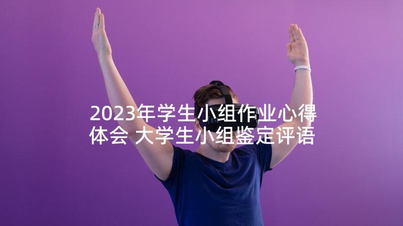 2023年学生小组作业心得体会 大学生小组鉴定评语(通用9篇)