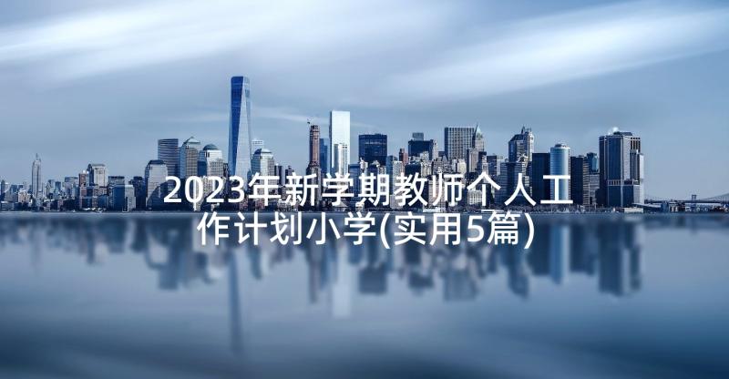 2023年新学期教师个人工作计划小学(实用5篇)