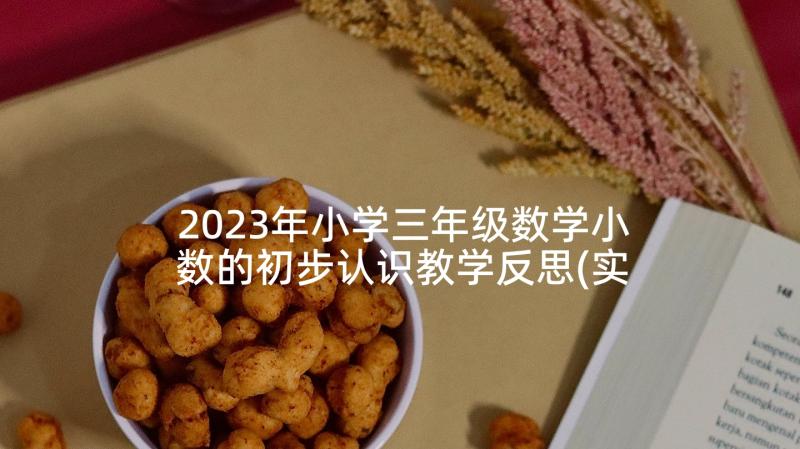 2023年小学三年级数学小数的初步认识教学反思(实用5篇)