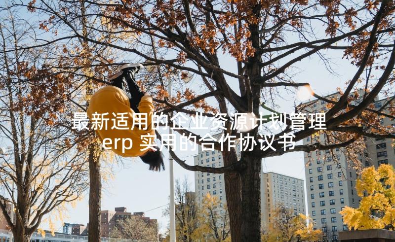 最新适用的企业资源计划管理erp 实用的合作协议书万能(精选9篇)