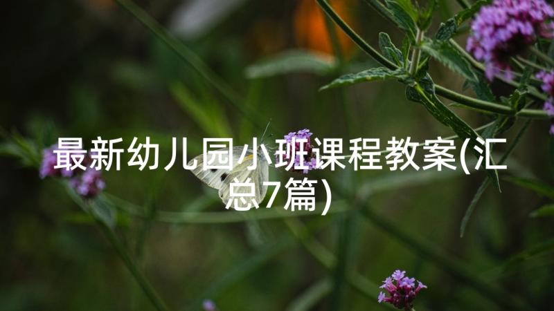 最新幼儿园小班课程教案(汇总7篇)