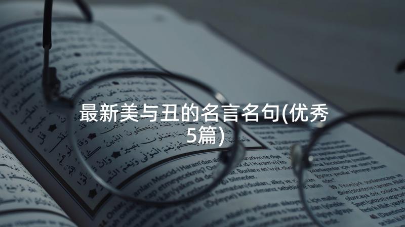 最新美与丑的名言名句(优秀5篇)