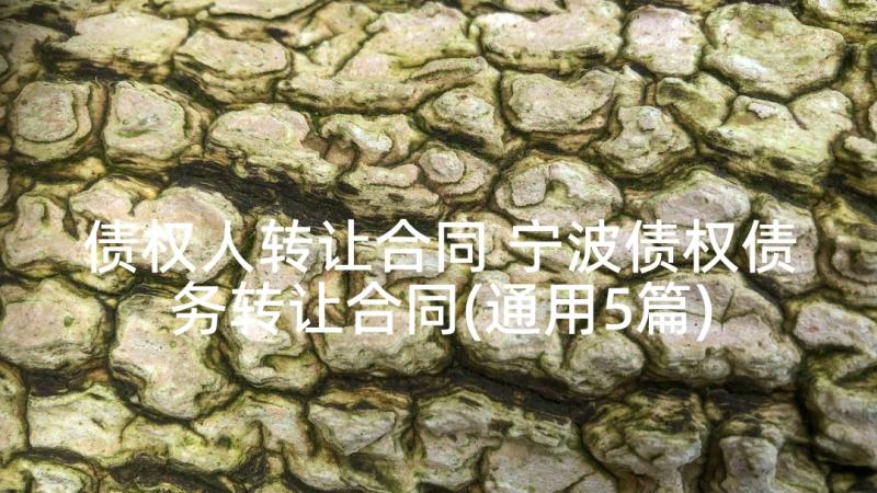 债权人转让合同 宁波债权债务转让合同(通用5篇)