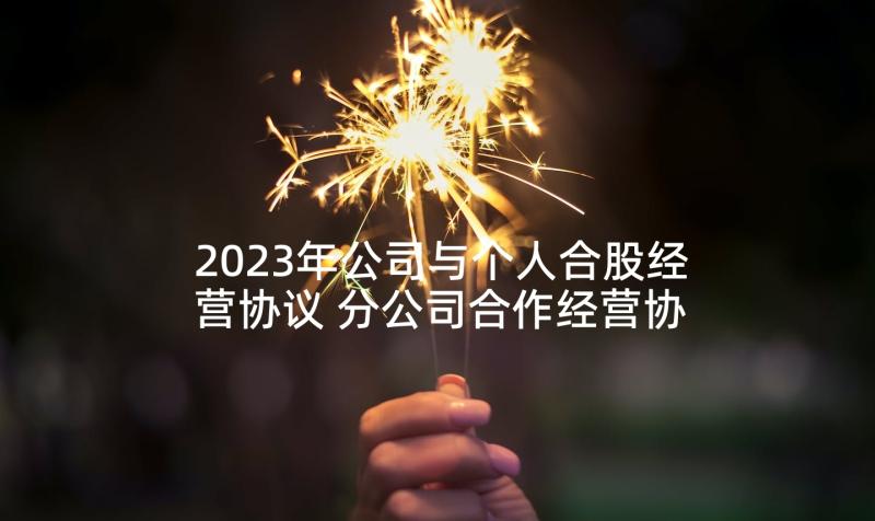 2023年公司与个人合股经营协议 分公司合作经营协议书(通用7篇)