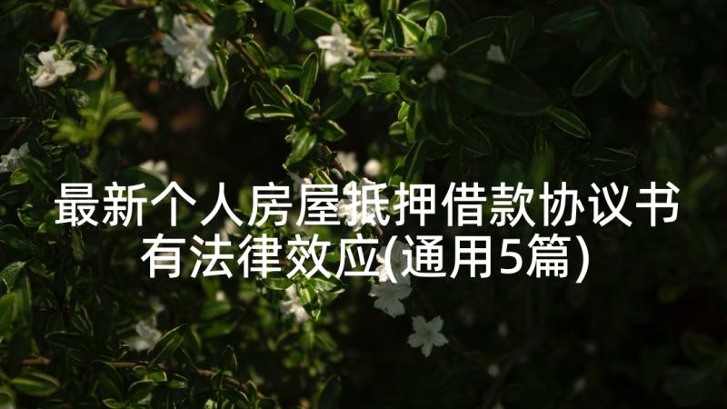 最新个人房屋抵押借款协议书有法律效应(通用5篇)