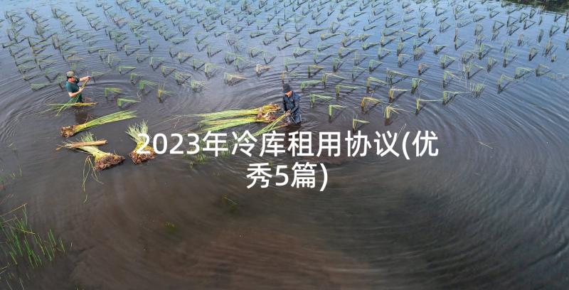 2023年冷库租用协议(优秀5篇)