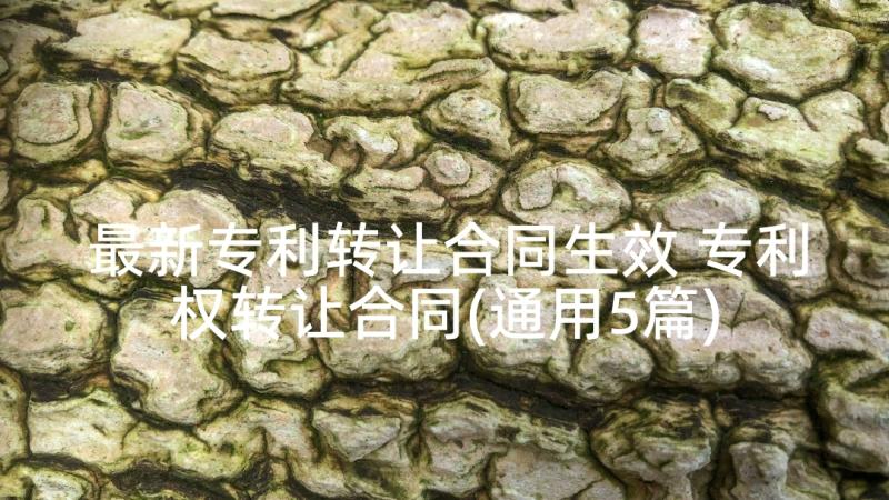 最新专利转让合同生效 专利权转让合同(通用5篇)