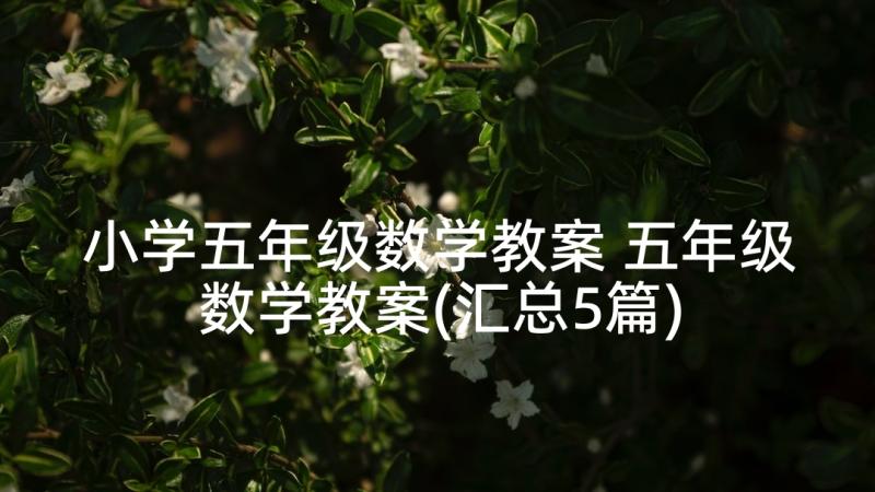 小学五年级数学教案 五年级数学教案(汇总5篇)