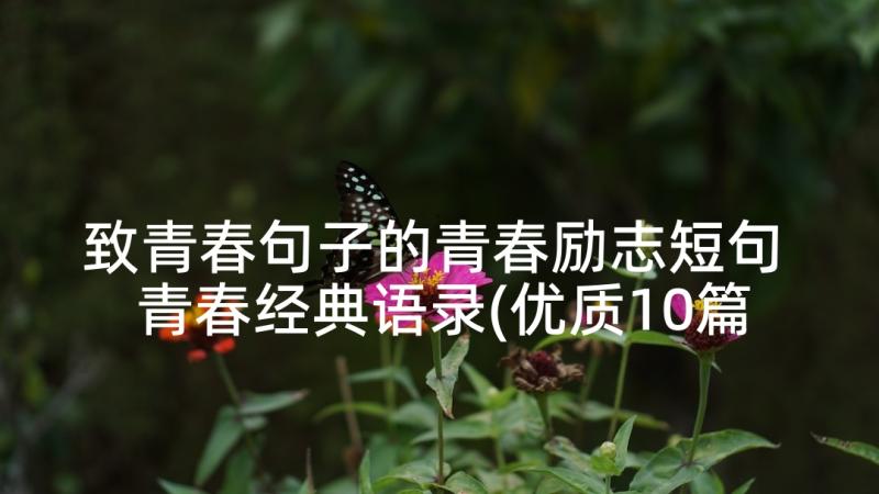 致青春句子的青春励志短句 青春经典语录(优质10篇)