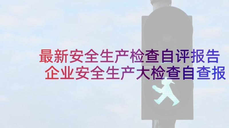 最新安全生产检查自评报告 企业安全生产大检查自查报告(模板8篇)