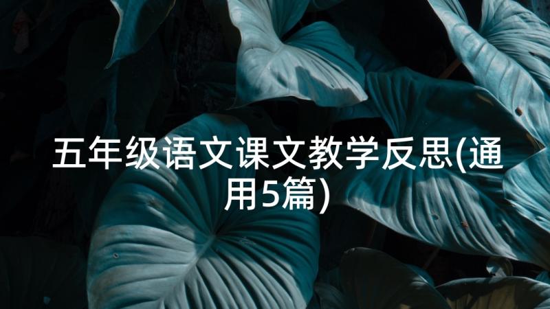 五年级语文课文教学反思(通用5篇)