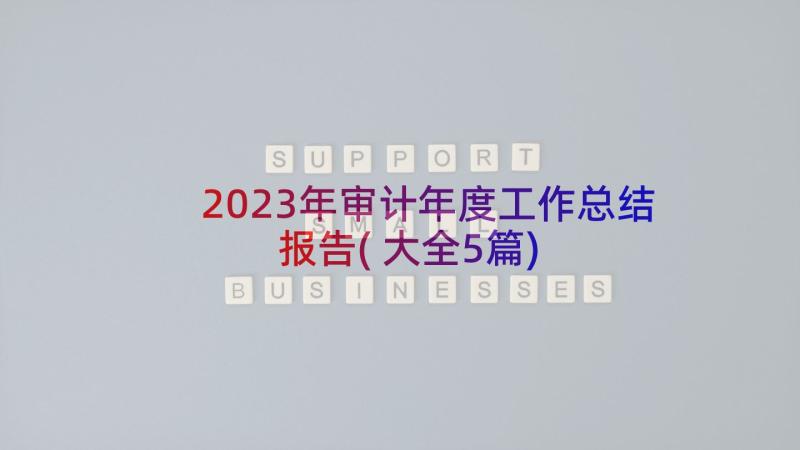 2023年审计年度工作总结报告(大全5篇)