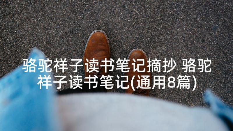 骆驼祥子读书笔记摘抄 骆驼祥子读书笔记(通用8篇)