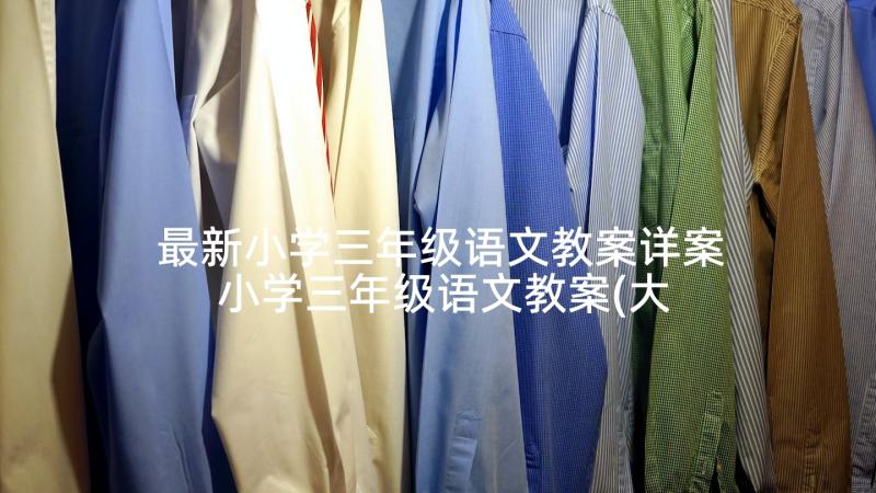 最新小学三年级语文教案详案 小学三年级语文教案(大全5篇)