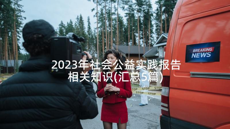 2023年社会公益实践报告相关知识(汇总5篇)