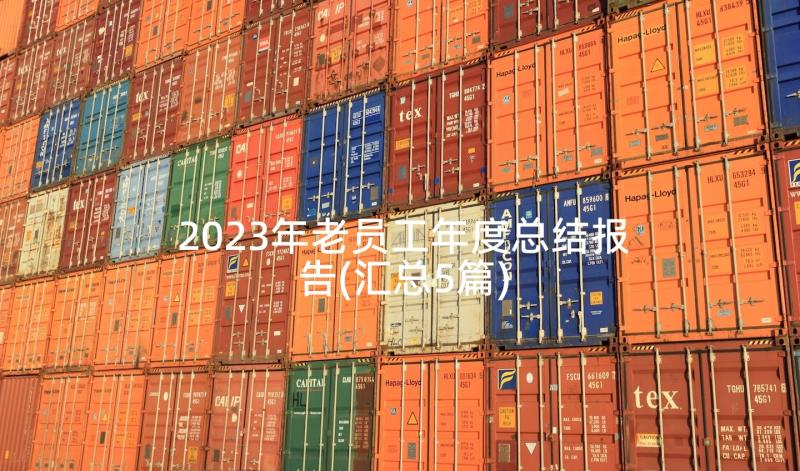 2023年老员工年度总结报告(汇总5篇)