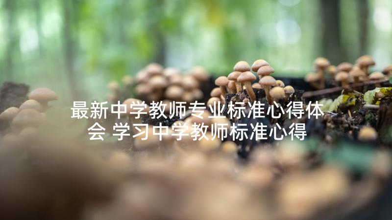 最新中学教师专业标准心得体会 学习中学教师标准心得体会(模板6篇)