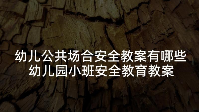 幼儿公共场合安全教案有哪些 幼儿园小班安全教育教案(汇总7篇)