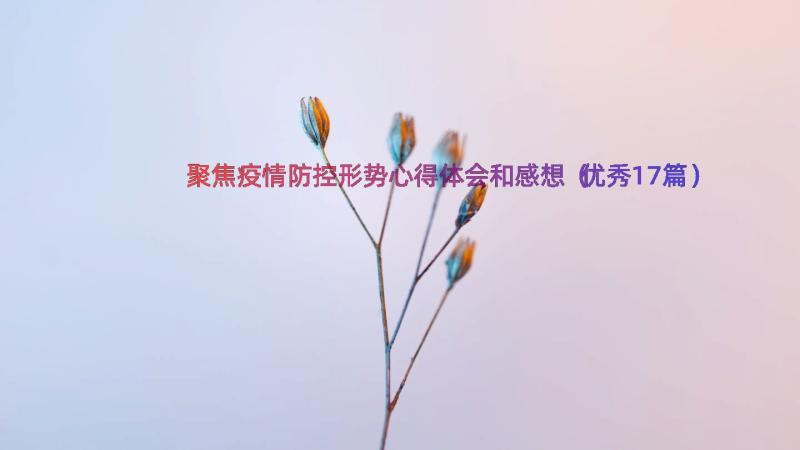 聚焦疫情防控形势心得体会和感想（优秀17篇）