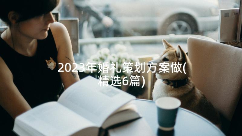 2023年婚礼策划方案做(精选6篇)