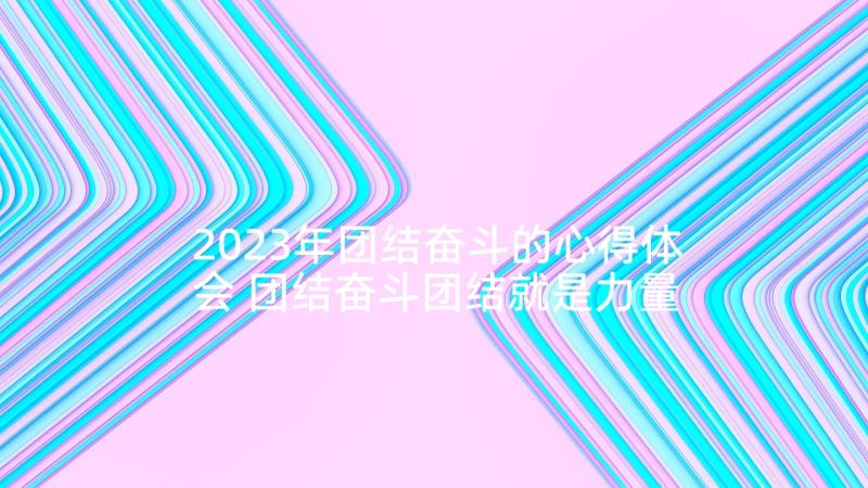 2023年团结奋斗的心得体会 团结奋斗团结就是力量(实用6篇)