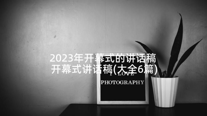 2023年开幕式的讲话稿 开幕式讲话稿(大全6篇)