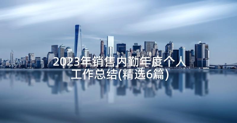 2023年销售内勤年度个人工作总结(精选6篇)