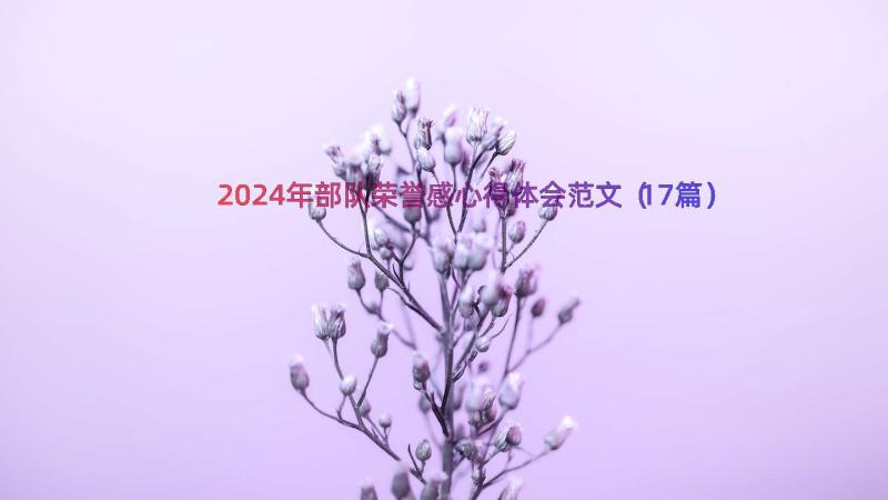 2024年部队荣誉感心得体会范文（17篇）