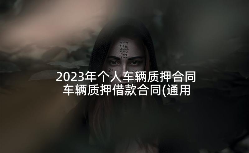 2023年个人车辆质押合同 车辆质押借款合同(通用9篇)