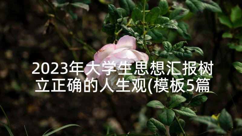 2023年大学生思想汇报树立正确的人生观(模板5篇)