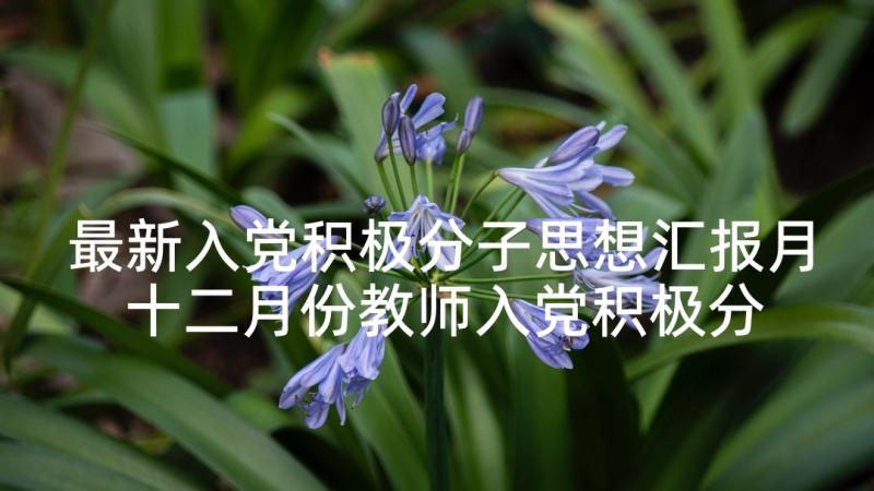 最新入党积极分子思想汇报月 十二月份教师入党积极分子思想汇报(优秀7篇)