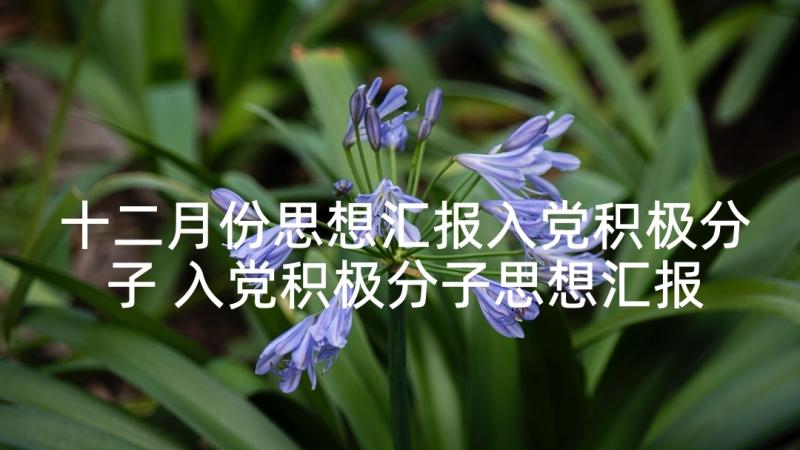 十二月份思想汇报入党积极分子 入党积极分子思想汇报范例(精选5篇)