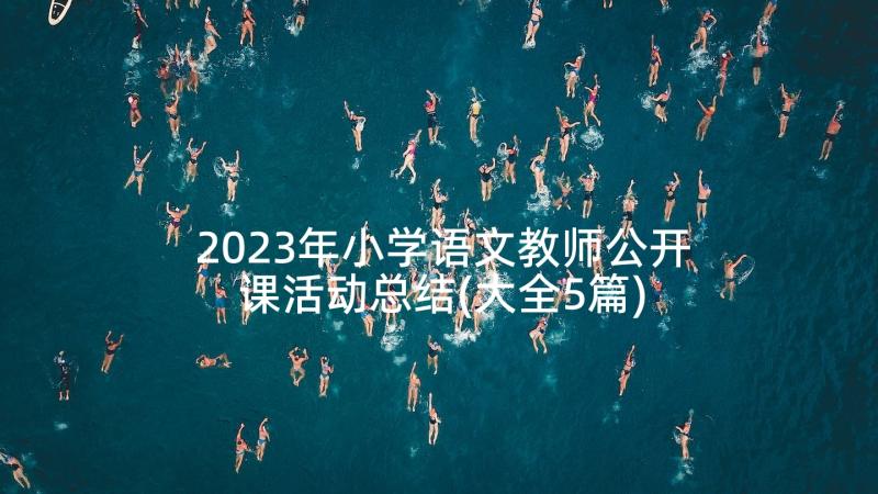 2023年小学语文教师公开课活动总结(大全5篇)