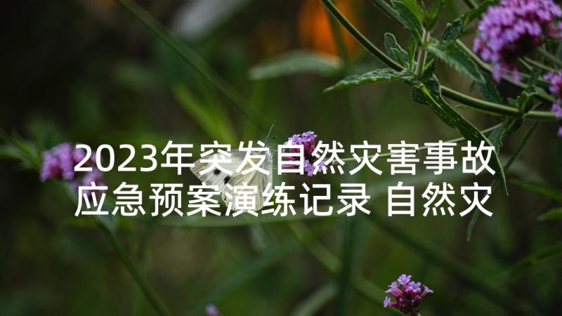 2023年突发自然灾害事故应急预案演练记录 自然灾害突发事件应急预案(汇总7篇)